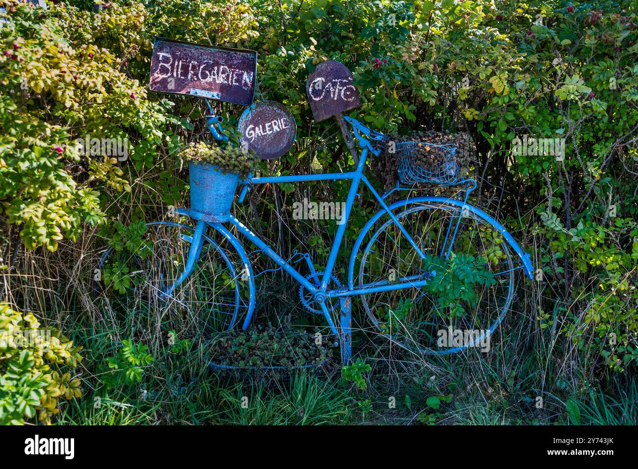 Bicicletta blu sovrastata che pubblicizza una birreria all'aperto, una caffetteria e una galleria sulla penisola di Gnitz sull'isola di Usedom. Zum Möwenort, am Peenestrom, Meclemburgo-Vorpommern, Germania Foto Stock