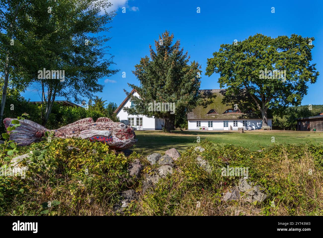 Casa con tetti a canna con un enorme pesce intagliato all'ingresso della proprietà. Zum Möwenort, am Peenestrom, Meclemburgo-Vorpommern, Germania Foto Stock