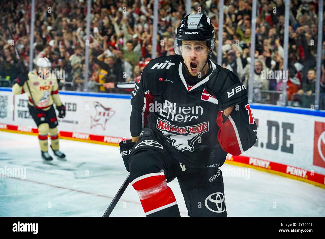 Germania. 27 settembre 2024. Eishockey Penny-DEL 3.Spieltag Koelner Haie - Nuernberg Ice Tigers AM 27.09.2024 in der Lanxess Arena a Koeln Louis-Marc Aubry ( Koeln ), - bejubelt Seinen Treffer zum 5:4 in Unterzahl Gemaess den Vorgaben der DEL Deutsche Eishockey Liga ist die Publikation und Weiterverwertung der Aufnahnahmen in Endlefnahnahahren Spieschen Medieschen en en Spieschen en. Foto: Revierfoto credito: ddp media GmbH/Alamy Live News Foto Stock