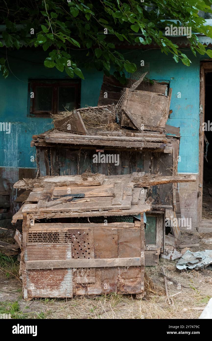 Rifugio rustico abbandonato circondato da una vegetazione ricoperta di vegetazione. Foto Stock