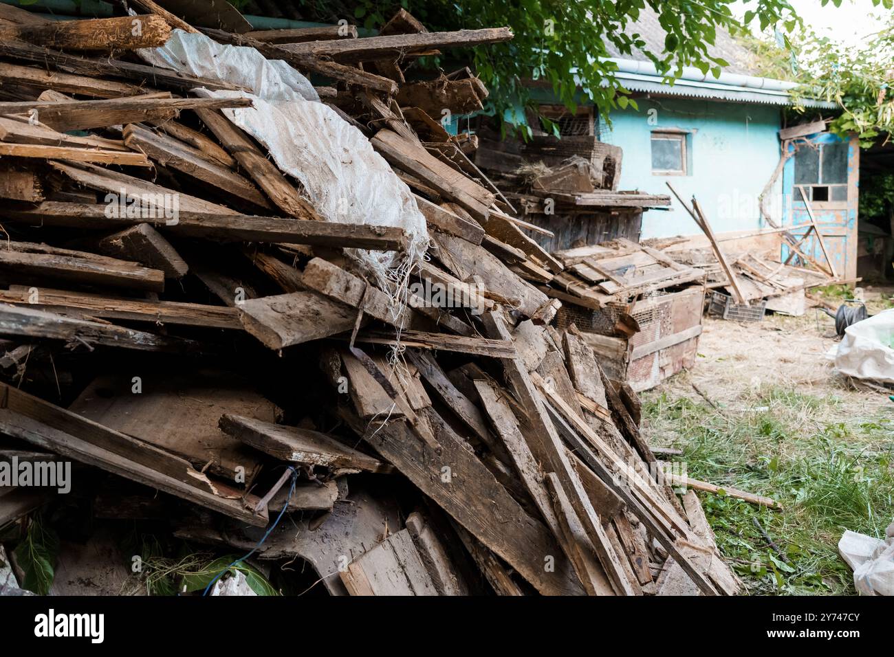 Una pila rustica di tavole di legno intemperie circondata dal tocco della natura. Foto Stock