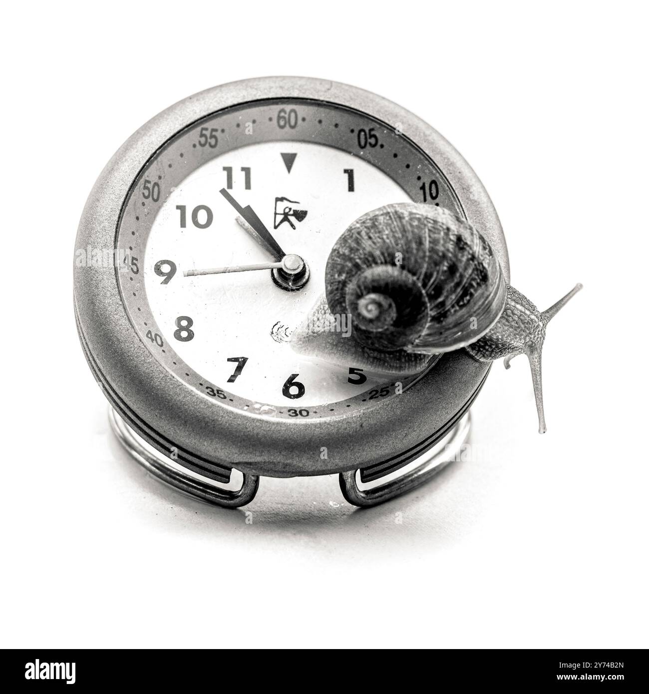 Col passare del tempo, 2019. Concetto di orologio e lumaca. La lumaca scivola fuori dall'orologio. Foto Stock