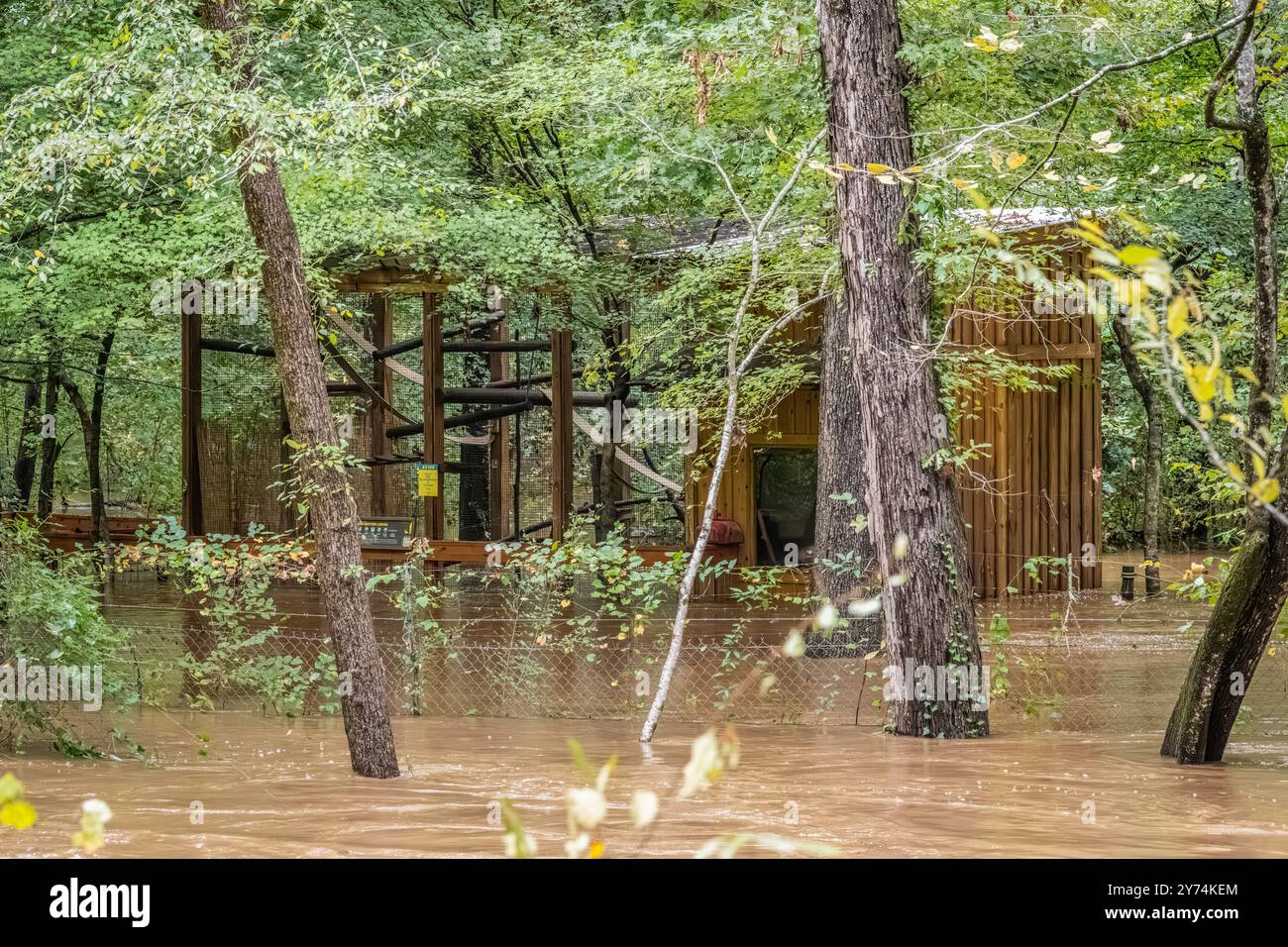 Recinzione di lemuri presso il Yellow River Wildlife Sanctuary a Metro Atlanta, Georgia, in mezzo all'uragano Helene dopo l'inondazione delle acque del fiume giallo. Foto Stock