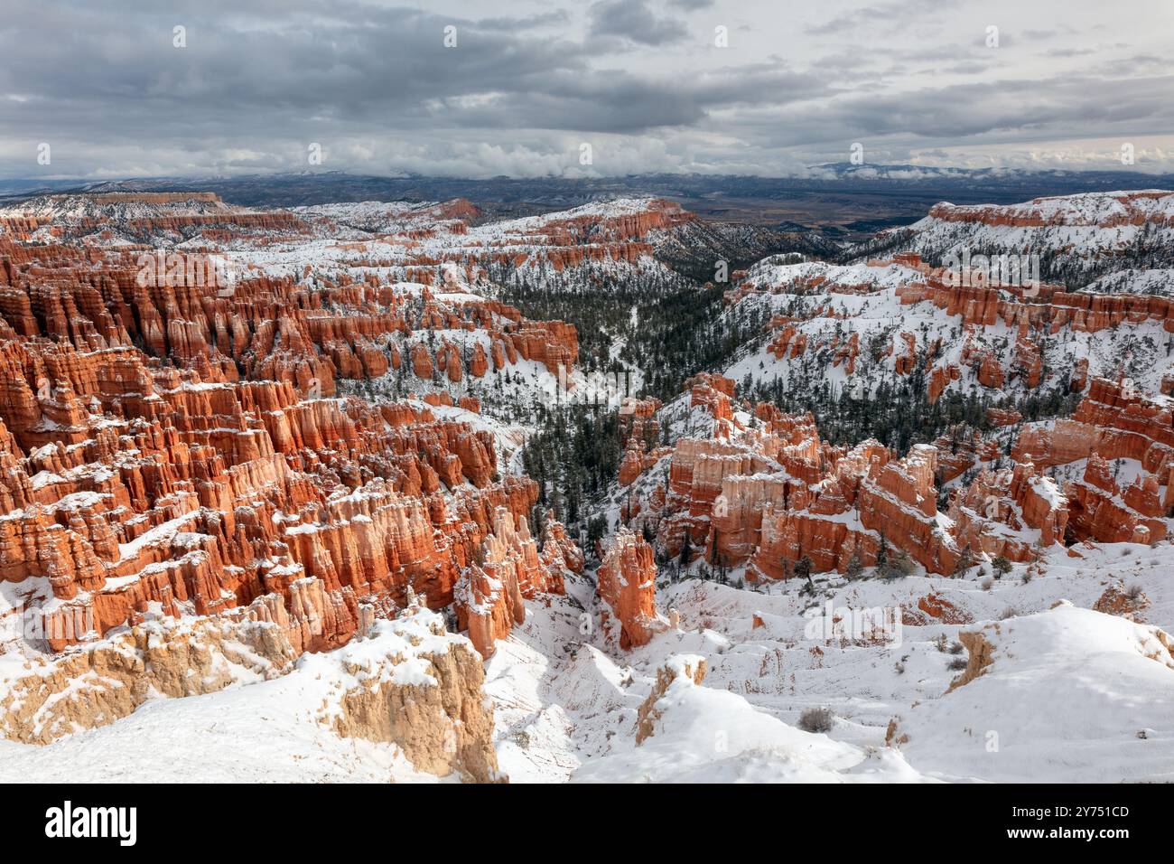 Bryce Canyon con neve dopo una tempesta invernale Foto Stock