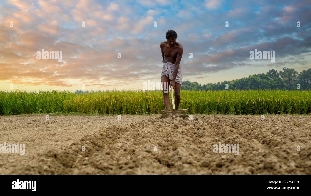 Agricoltori del Bangladesh. Un contadino coltiva il terreno coltivando la terra. Risaie dietro. La foto è stata scattata il 23 ottobre 2023 da Khulna Ba Foto Stock