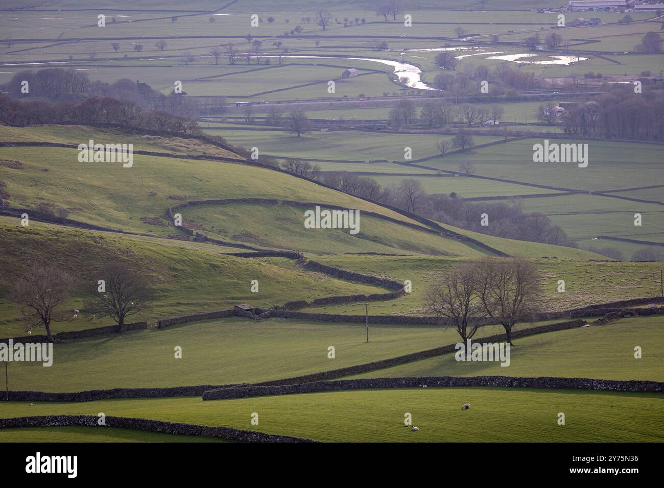 Vista panoramica delle colline ondulate e dei campi di patchwork con muretti a secco nello Yorkshire Dales, Inghilterra. Foto Stock