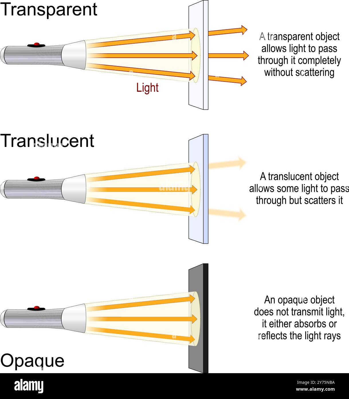 Differenza tra oggetti traslucidi, trasparenti e opachi. Trasmissione della luce. esperimento scientifico con materiali diversi e una torcia. Illustrazione Vettoriale