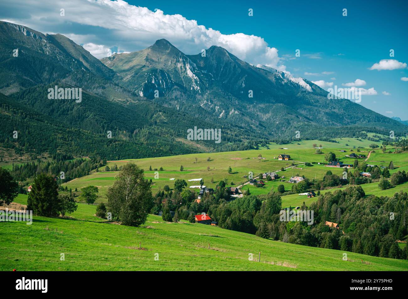 Prato verde e montagne. Splendida natura in Slovacchia, alti Tatra. Bachledova dolina Foto Stock