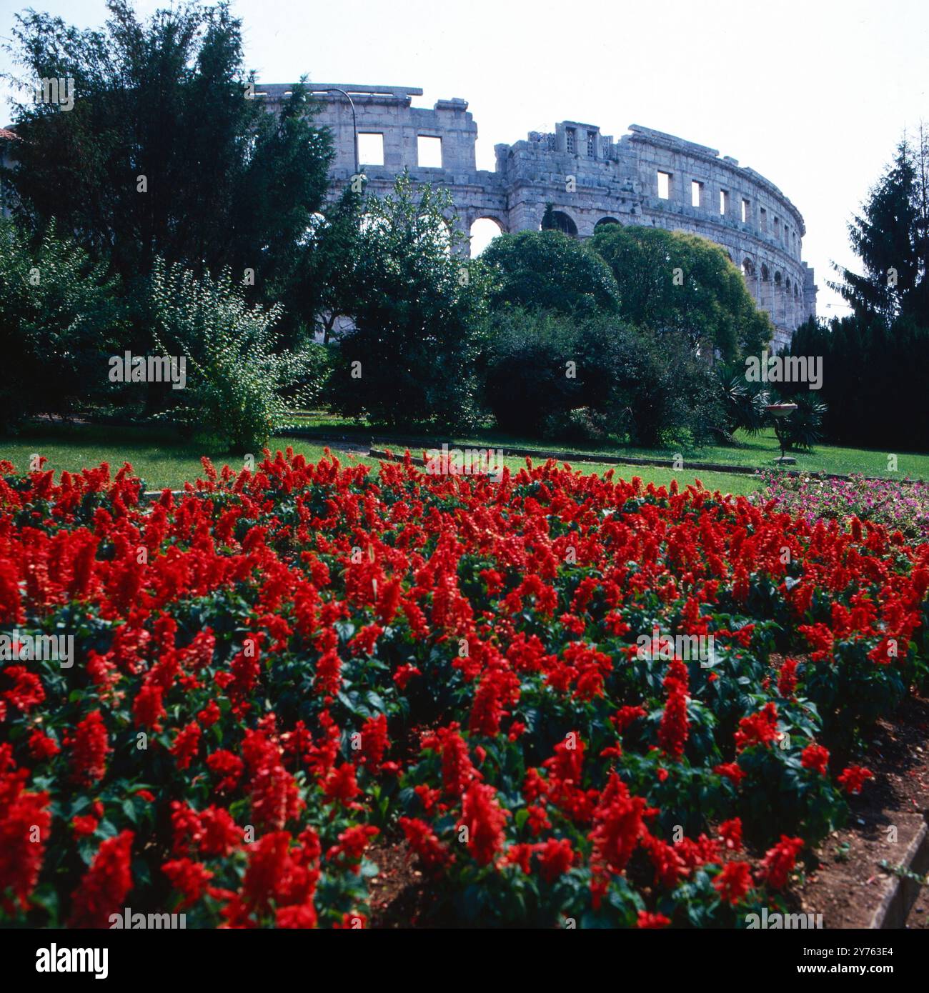 Blumenbeet vor dem römischen Amphitheatre in der Stadt Pola in der Region Kroatien, Jugoslawien um 1981. Foto Stock