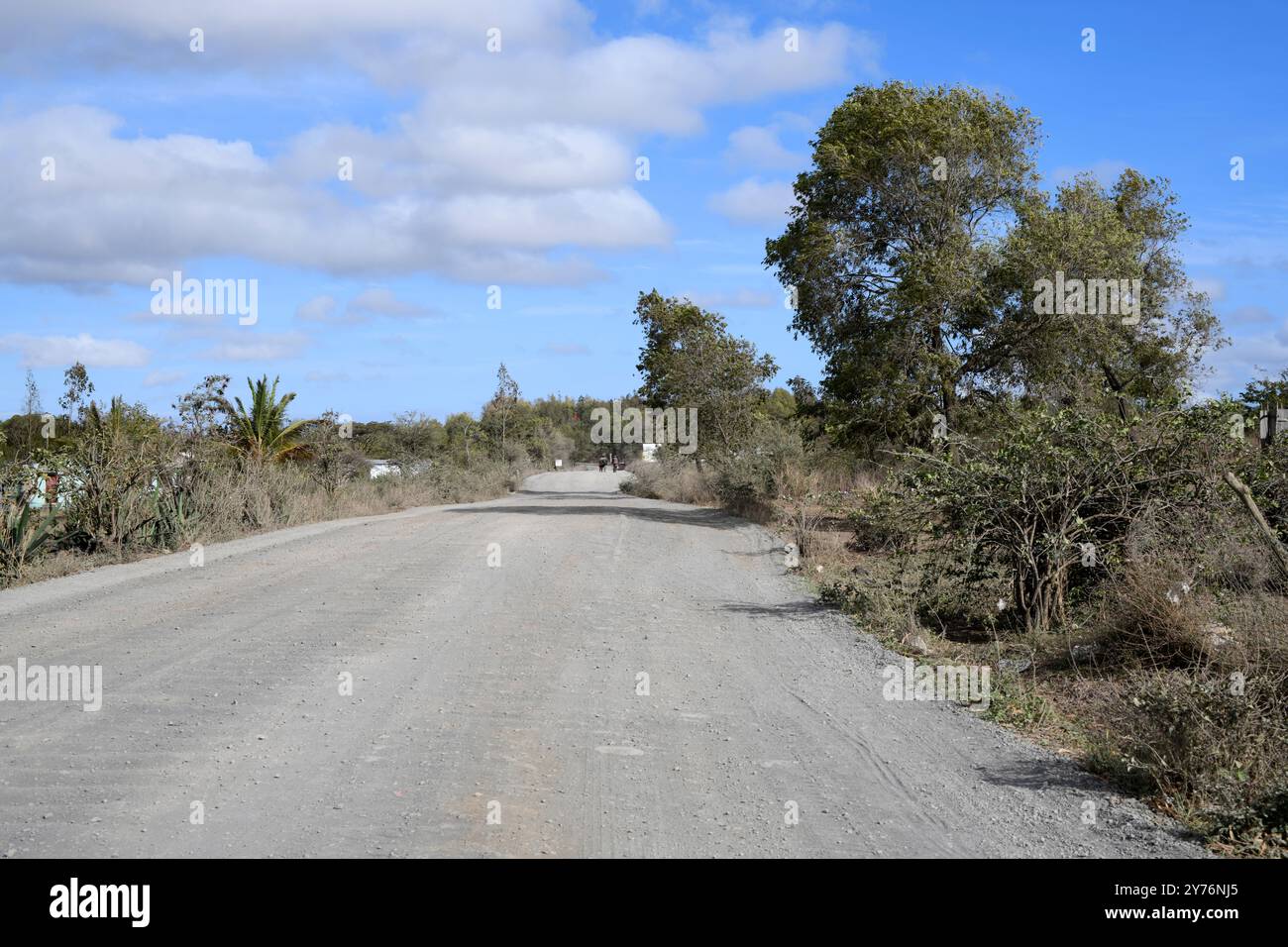 Regione di Diana, strada sterrata. Madagascar. Foto Stock