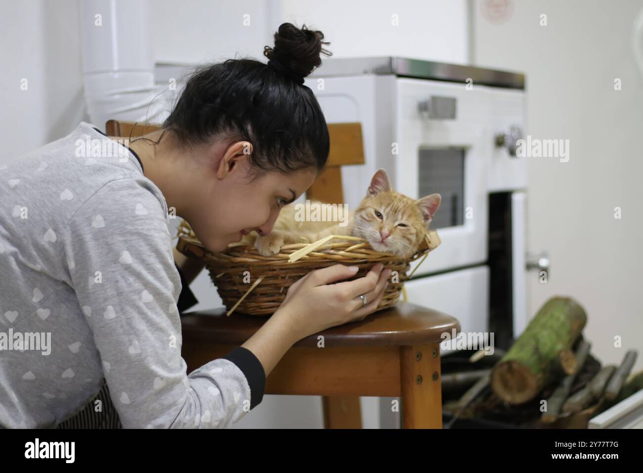 La donna accarezza il gatto dello zenzero che dorme nel cestino. Il soffice animale domestico ha un pisolino con piacere. Concetto di animali domestici e amore per loro Foto Stock