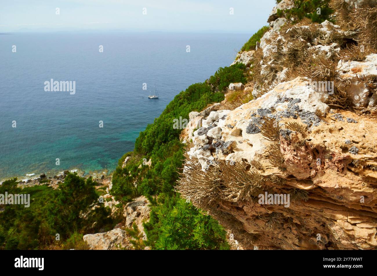 Roccella lichens (Roccella phycopsis) su una scogliera costiera di la Mola con uno yacht in mare (Formentera, Isole Baleari, Mar Mediterraneo, Spagna) Foto Stock