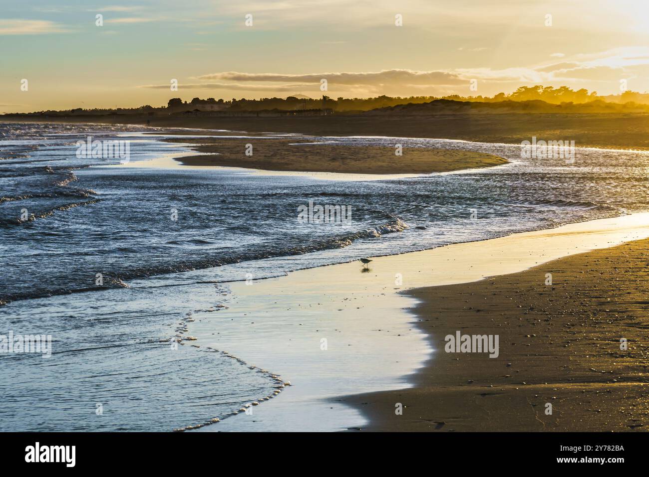 Tramonto dorato e acqua bassa marea che scorre su sabbia ondulata in una spiaggia tranquilla. Foto Stock