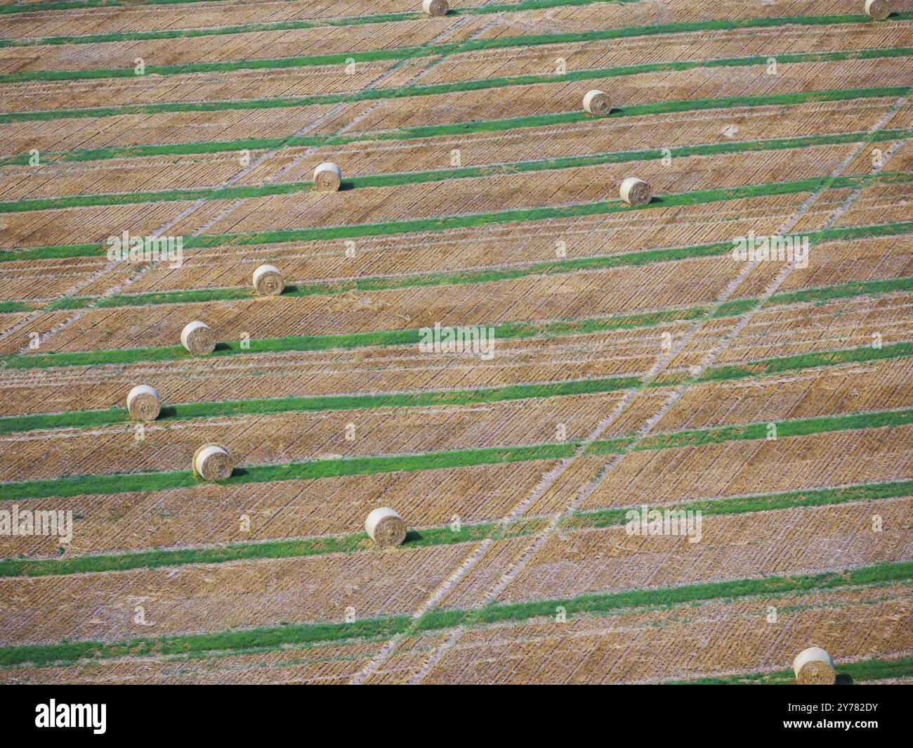 Balle di paglia su un campo raccolto, foto drone. Gotha, Turingia, Germania, Europa Foto Stock