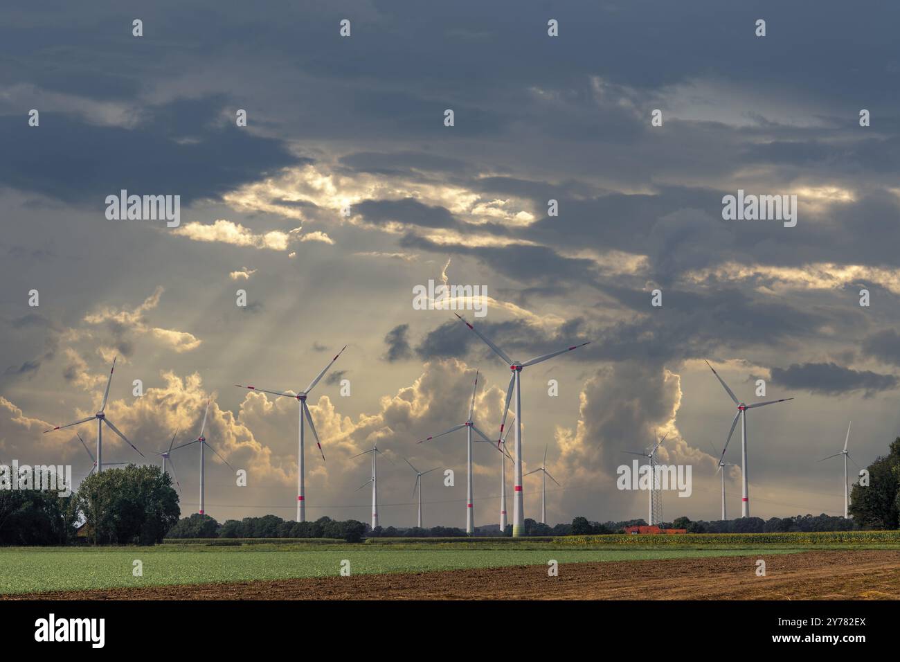 Turbine eoliche vicino a Steyerberg Germanyd Foto Stock