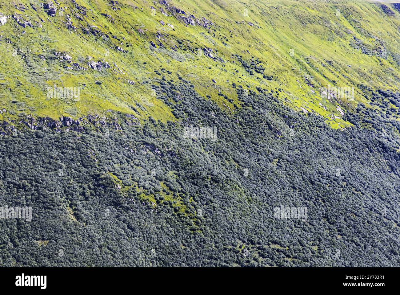 Paesaggio delle Alpi Svizzere sopra la linea alberata. Pendio sul passo Furka vicino a Obergoms, Canton Vallese, Svizzera, Europa Foto Stock