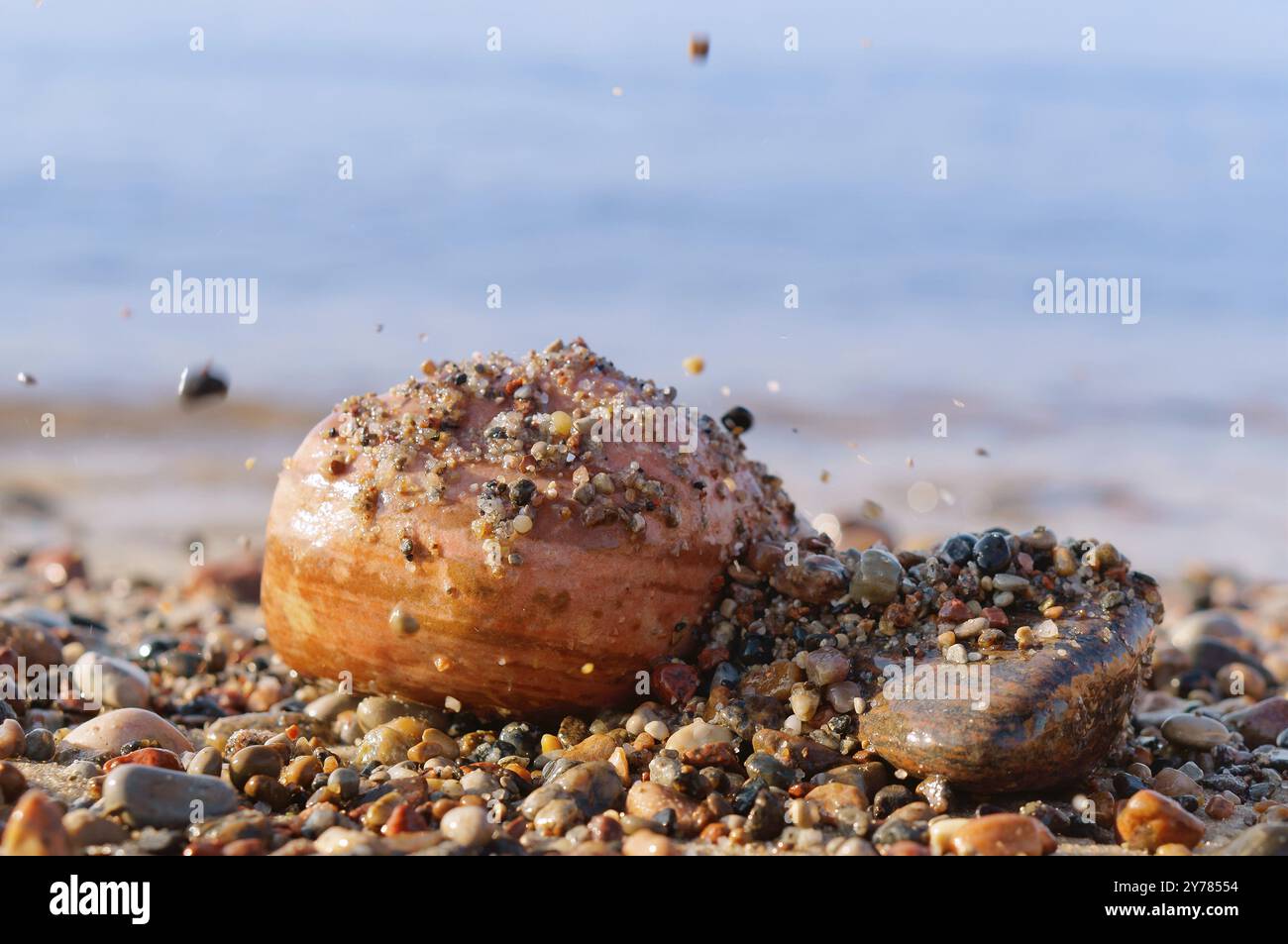 Mare di ciottoli grande e piccolo, ciottoli di mare cadono sulla pietra Foto Stock