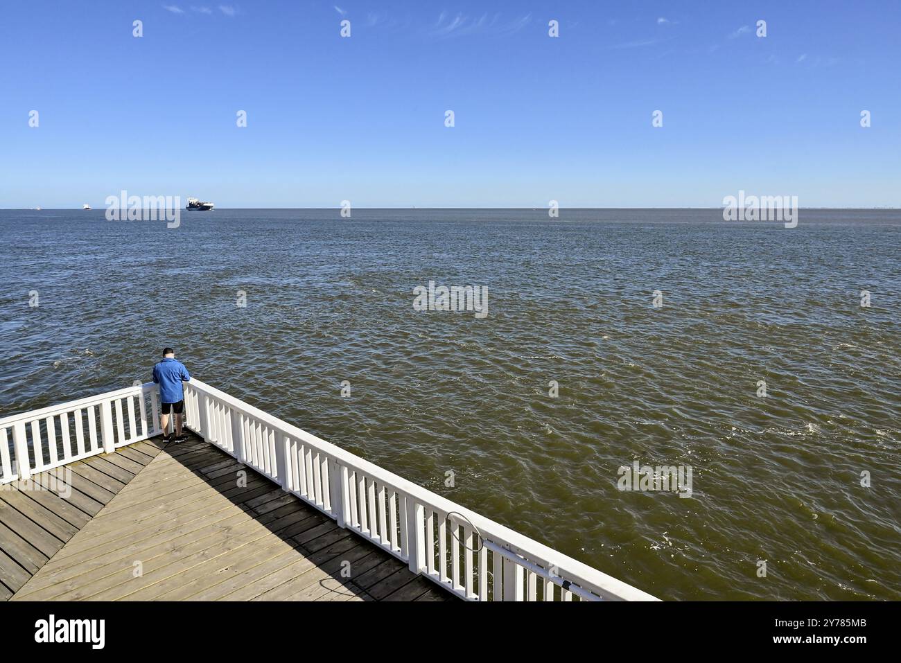 Piattaforma panoramica alte Liebe sull'Elba, Cuxhaven, bassa Sassonia, Germania, Europa Foto Stock