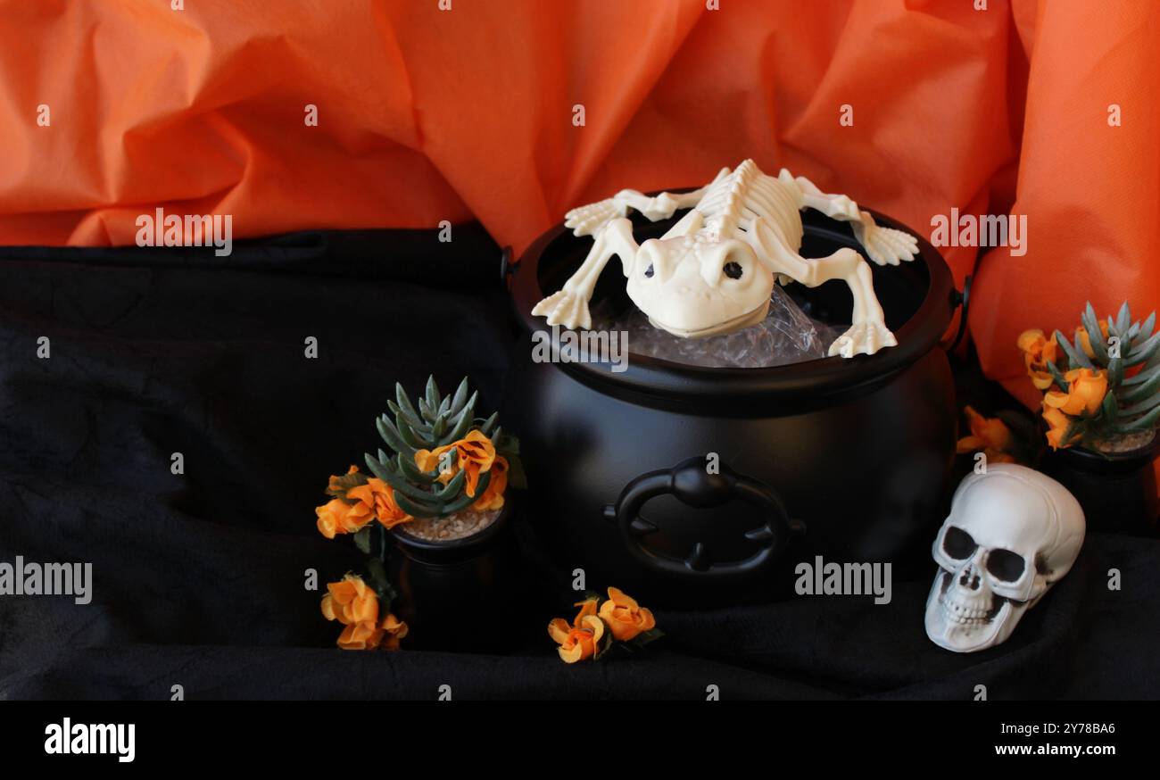 Scheletro di rana in fuga dal calderone della strega. Decorazione di Halloween con cadavere animale, piccolo cranio, caldrone nero, succulenti vasi vegetali. Foto Stock