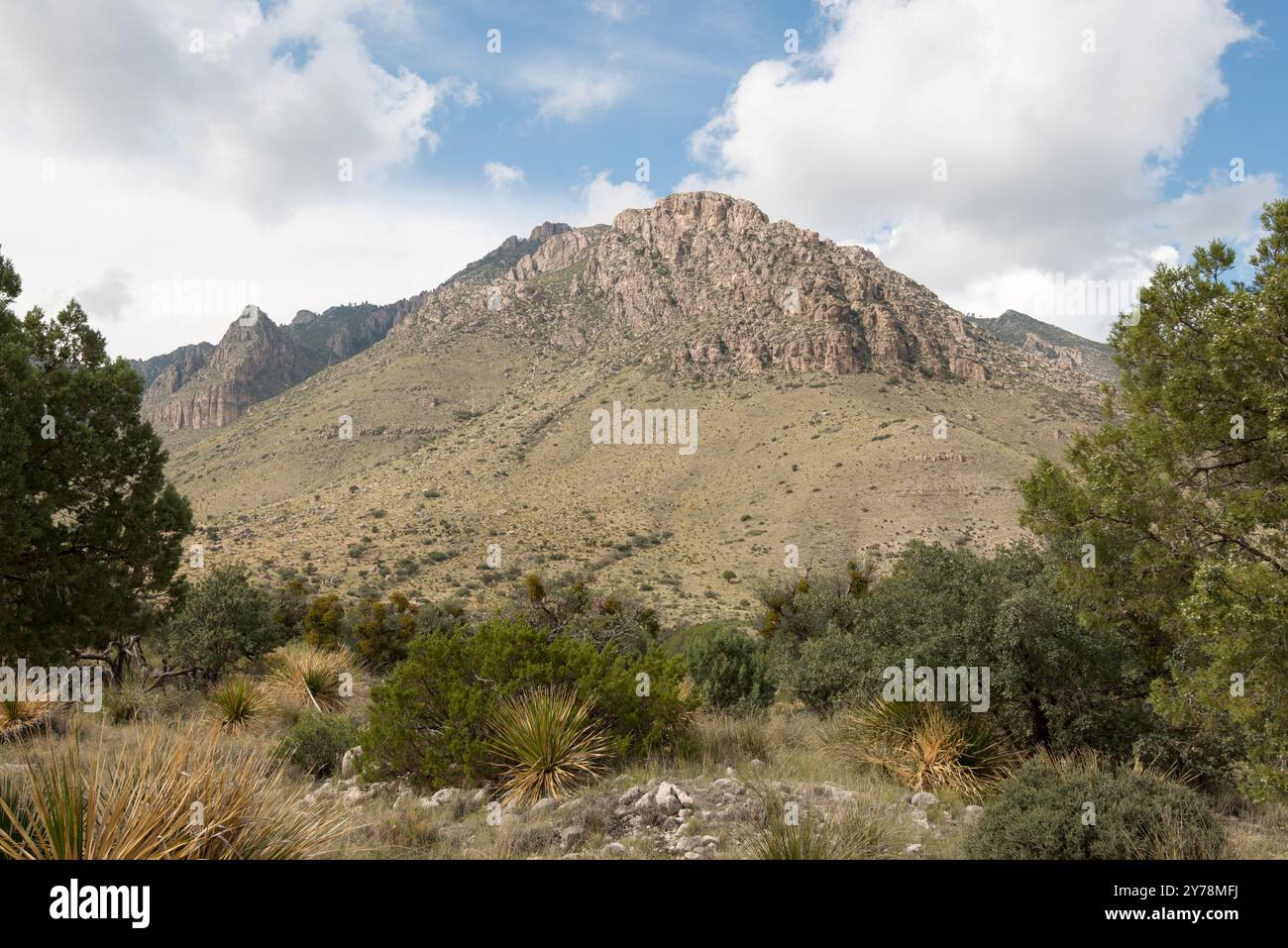 Guadalupe Mountains National Park, Texas Foto Stock