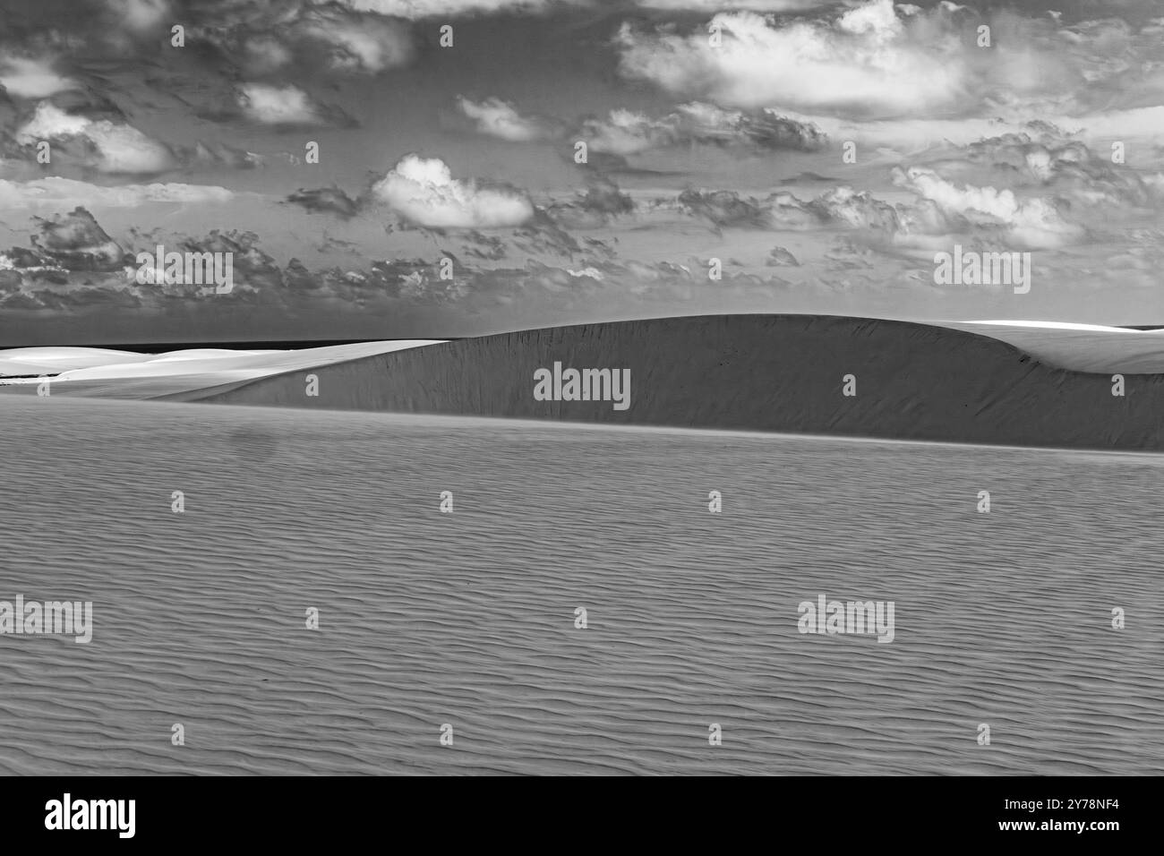 Paesaggio panoramico del deserto di sale Parco Nazionale di Lencois Maranhenses - Parque Nacional dos Lencois Maranhenses nel Brasile nord-orientale Foto Stock