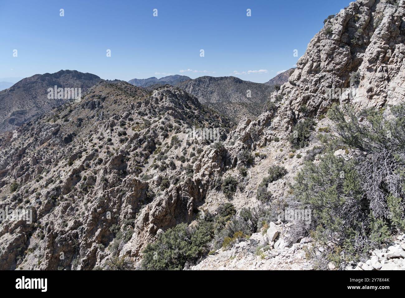 L'aspro Death Valley National Park si estende fino a Mount Palmer Foto Stock