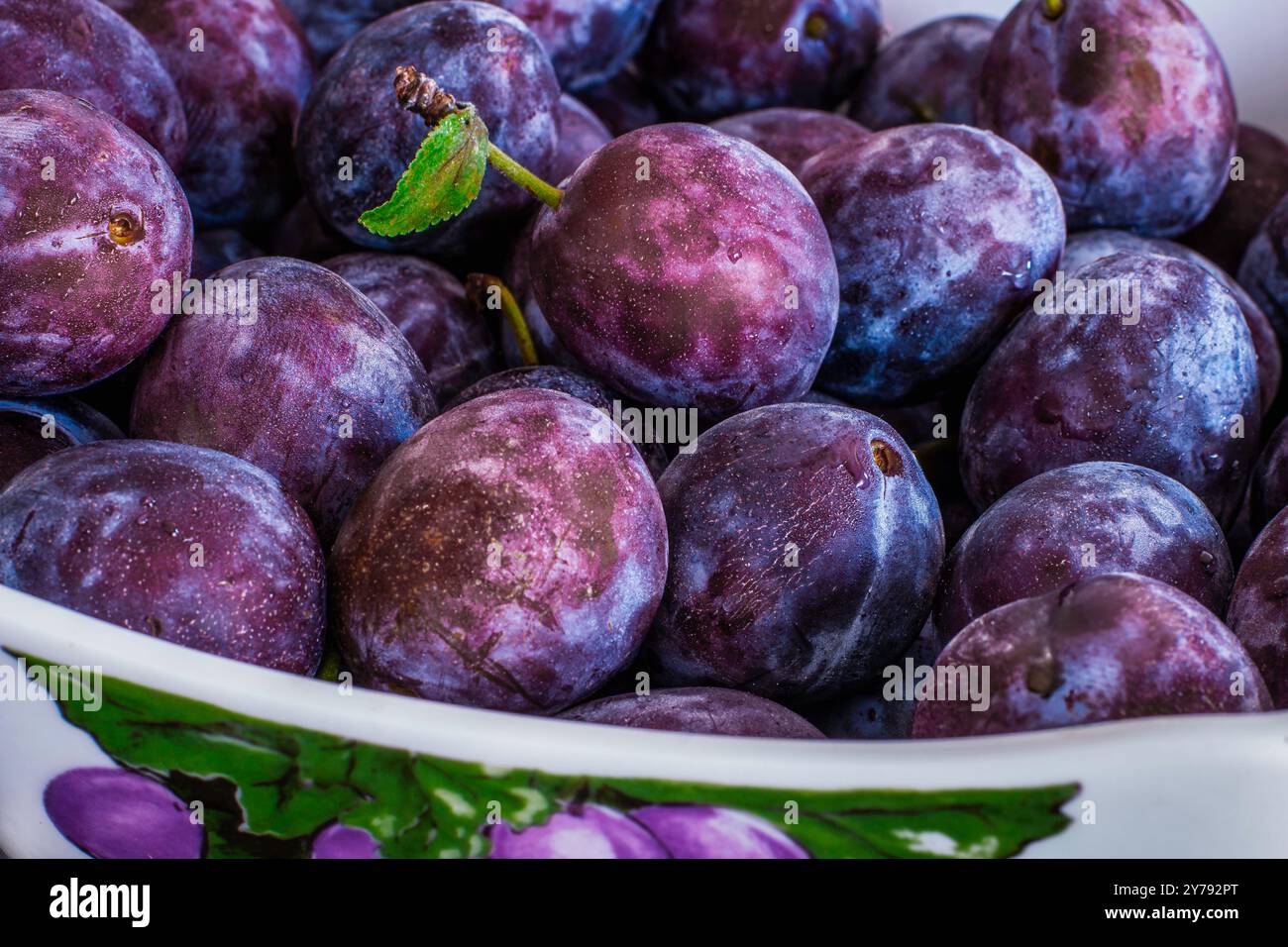 Fresh Harvest of Purple Plums in a Bowl a Hamilton, Ontario Foto Stock