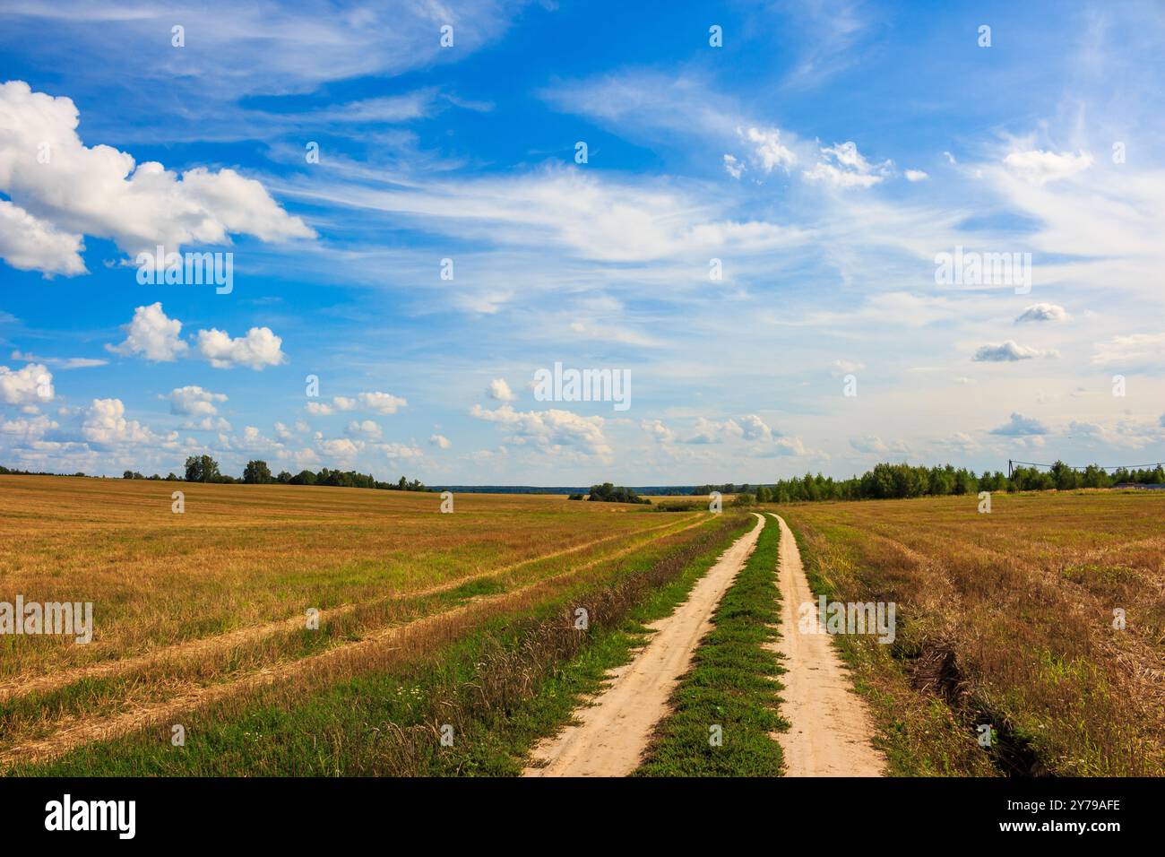 Paesaggio con una strada di campagna che corre tra i campi contro un bel cielo Foto Stock