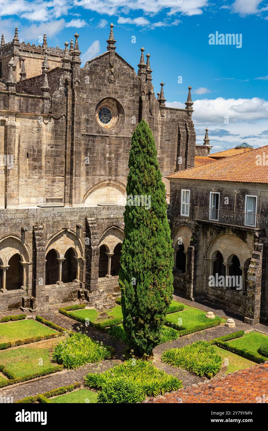 Cortile interno della cattedrale di Santa Maria con un enorme cipresso al centro del giardino, Tui, Galizia. Foto Stock