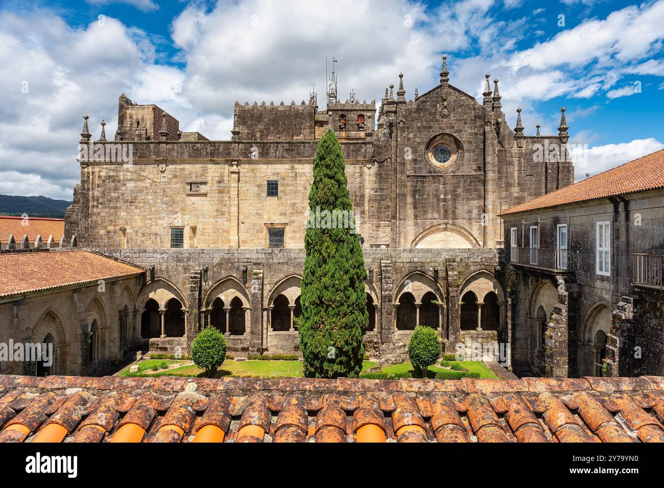 Cortile interno della cattedrale di Santa Maria con un enorme cipresso al centro del giardino, Tui, Galizia. Foto Stock