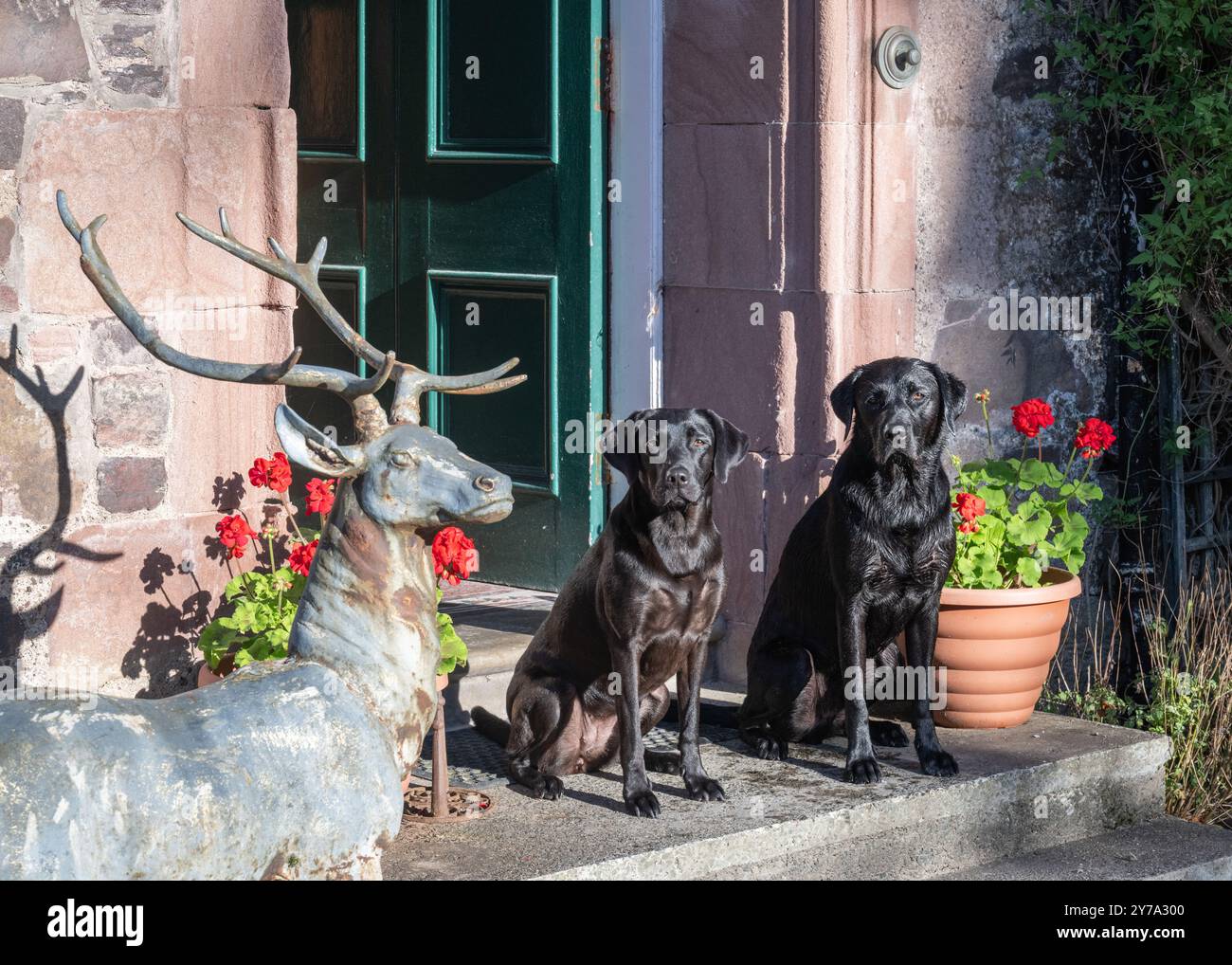 Shieldaig Lodge, Gairloch, Ross Shire, Scozia, Regno Unito Foto Stock