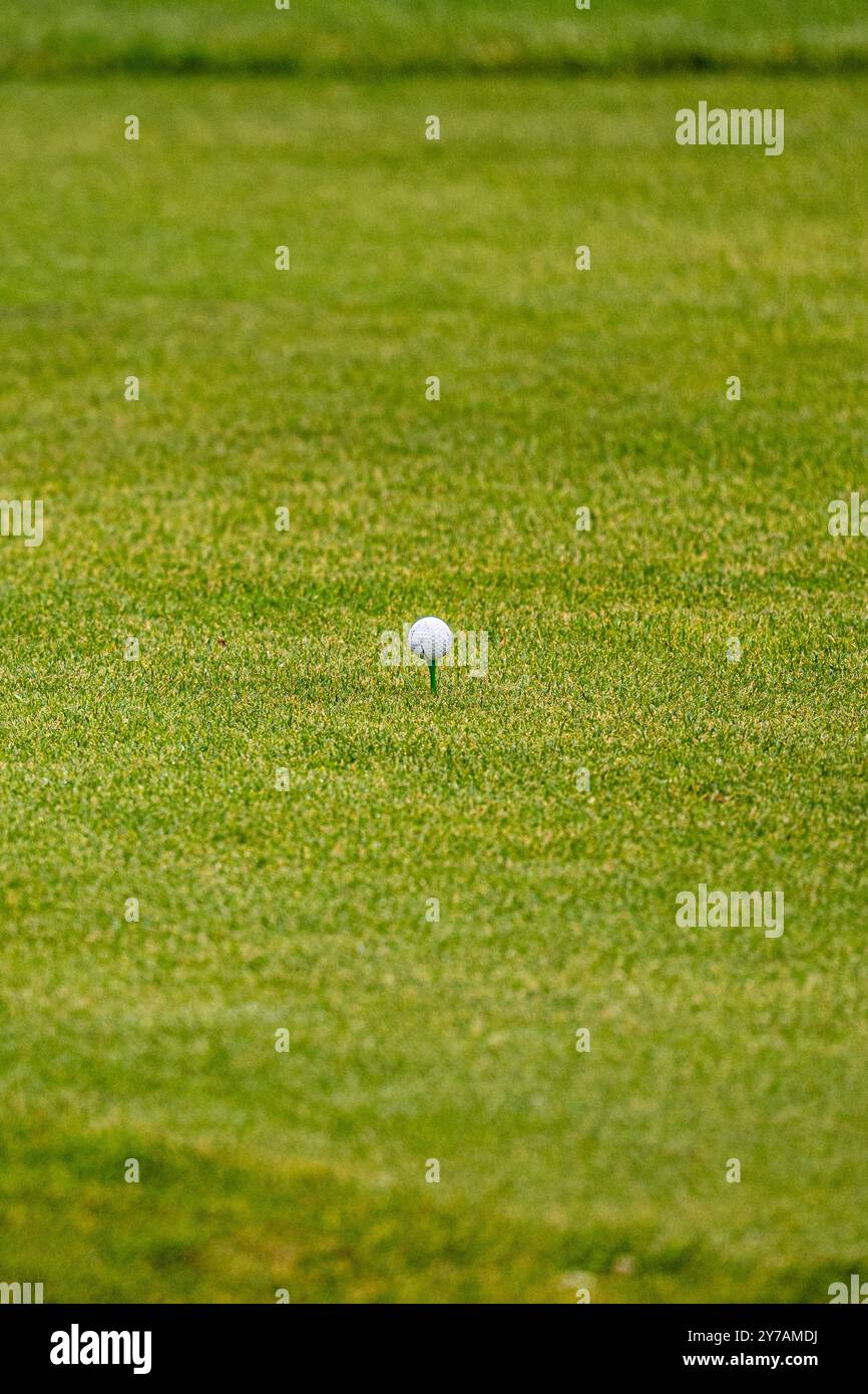 Pallina da golf sul tee prima di iniziare Foto Stock