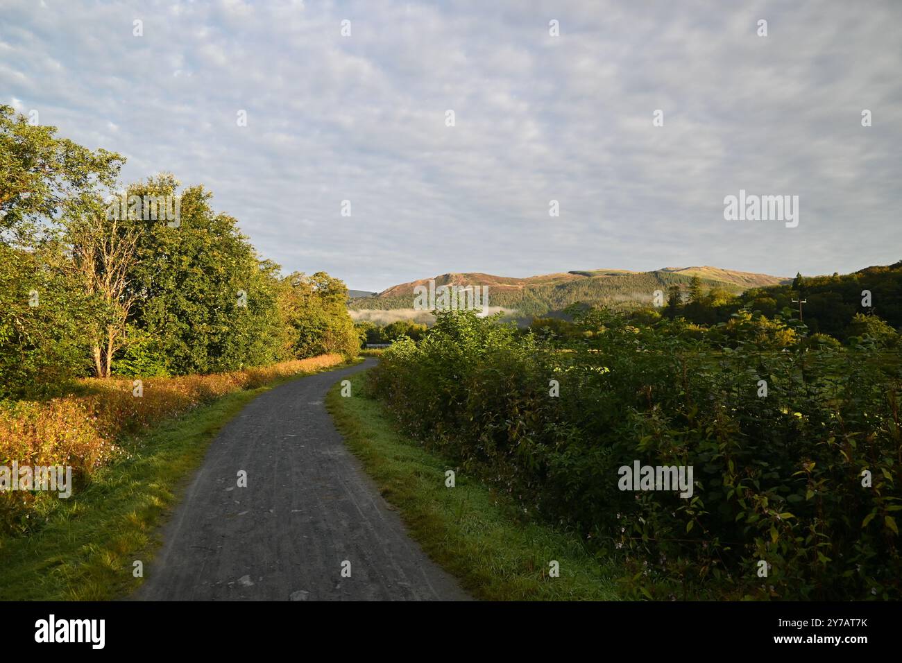 Llwybr Mawddach Trail nel Parco Nazionale di Eryri (Snowdonia) - Galles, Regno Unito - 16 settembre 2024 Foto Stock