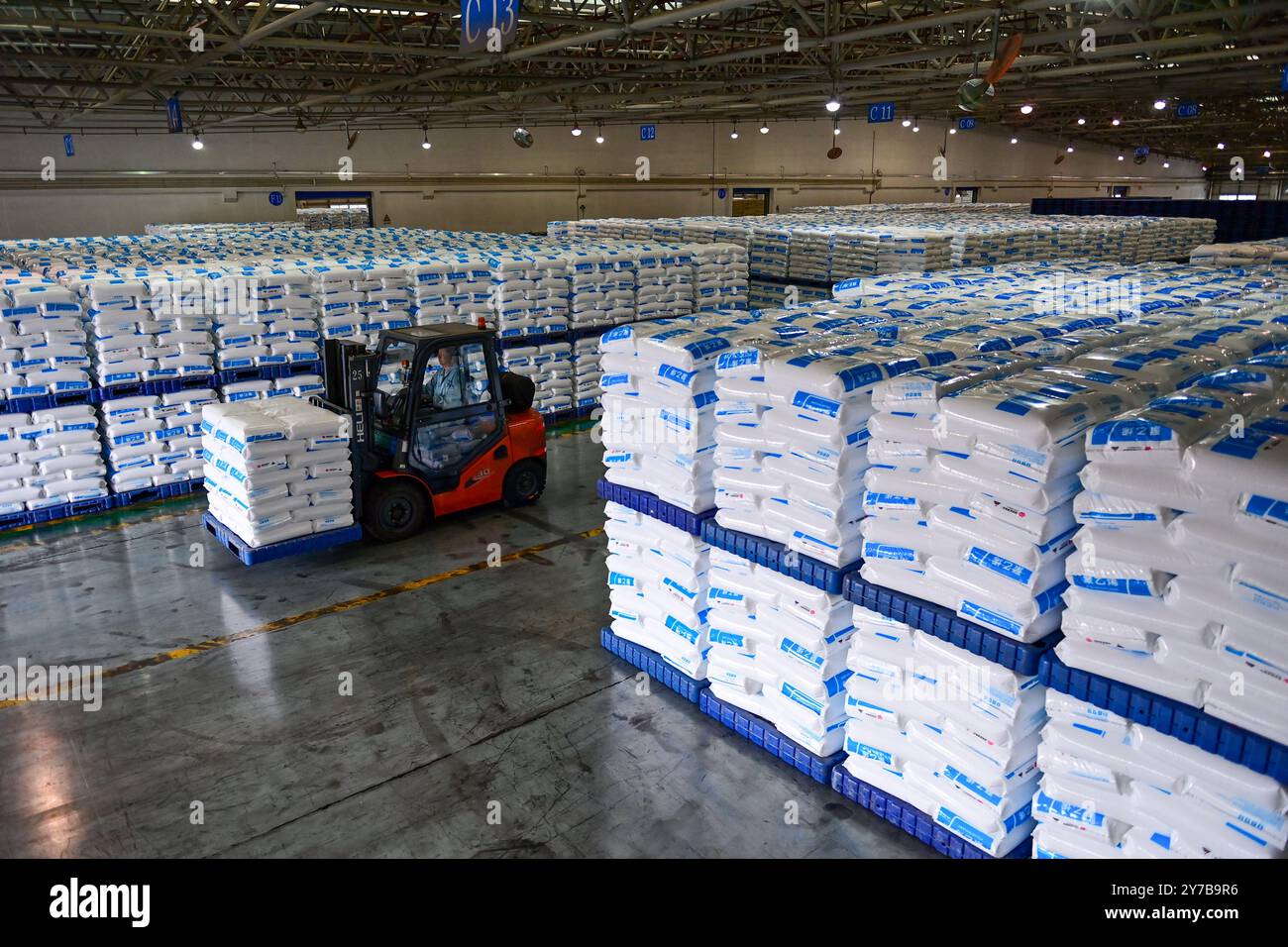 (240929) -- URUMQI, 29 settembre 2024 (Xinhua) -- Un lavoratore trasporta prodotti in polietilene confezionati presso Xinjiang Chemical Co., Ltd., del China Energy Group nella regione autonoma Xinjiang Uygur della Cina nord-occidentale, 26 settembre 2024. Lo Xinjiang ha sfruttato appieno le sue risorse di carbone per stimolare l'industria carboniera e lo sviluppo di alta qualità dell'economia. Nella prima metà del 2024, la produzione dello Xinjiang di carbone grezzo proveniente da imprese di dimensioni superiori a quelle indicate ha raggiunto i 240 milioni di tonnellate, con un aumento del 13,4% su base annua. Sulla base delle sue ricche risorse di carbone, lo Xinjiang sta accelerando la creazione di carbone-petrolio Foto Stock