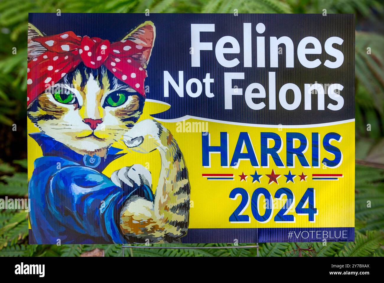 Un cartello del 2024 per le elezioni presidenziali degli Stati Uniti per il vicepresidente democratico Kamala Harris con lo slogan "felines not Felons". Il segno raffigura una femmina c Foto Stock
