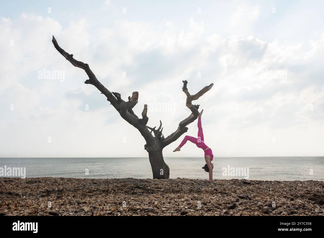 Donna sportiva che si mette in piedi contro un albero vicino all'oceano. Equilibrio di vita e concetto di fitness Foto Stock