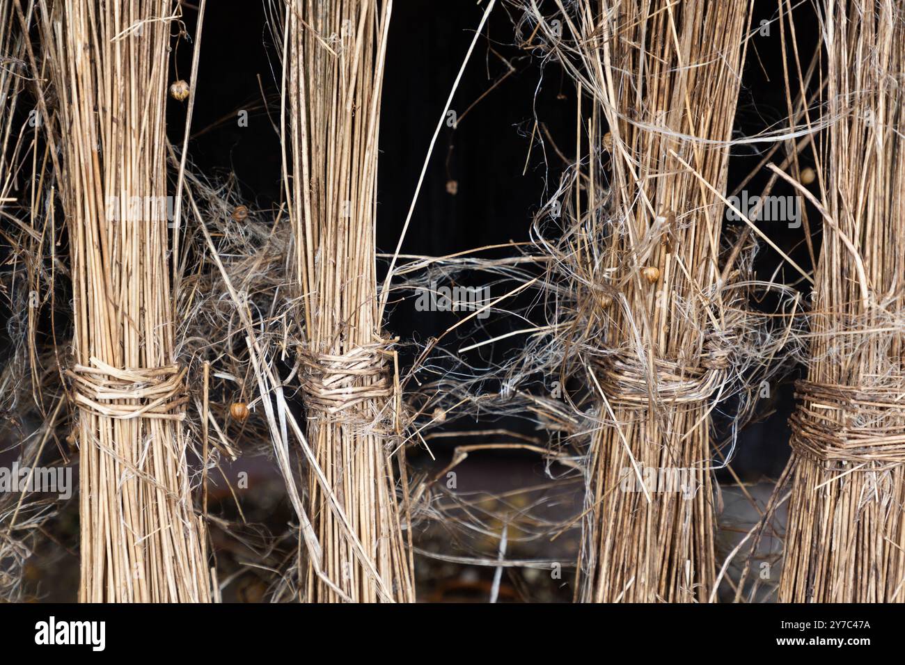 I fasci di lino legati si appoggiano contro una porta del fienile per asciugarsi. Foto Stock