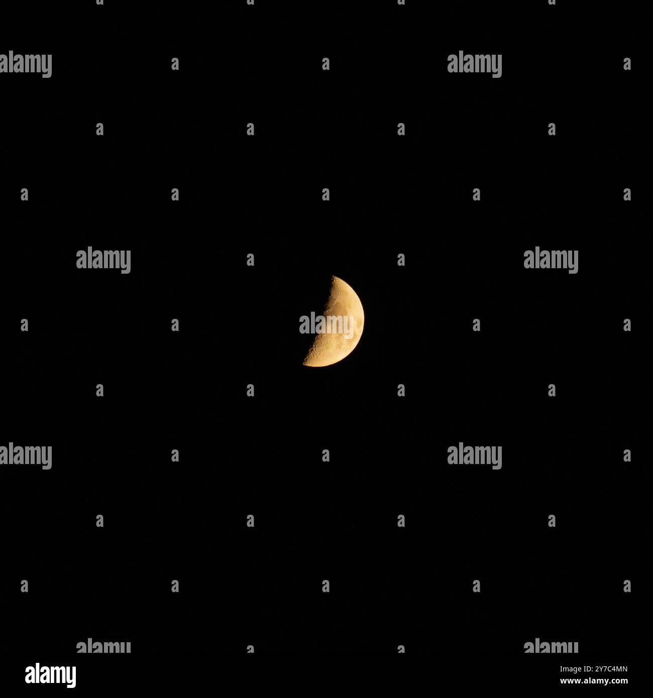 lui luna nel cielo notturno. Mezza luna, chiaro di luna Foto Stock