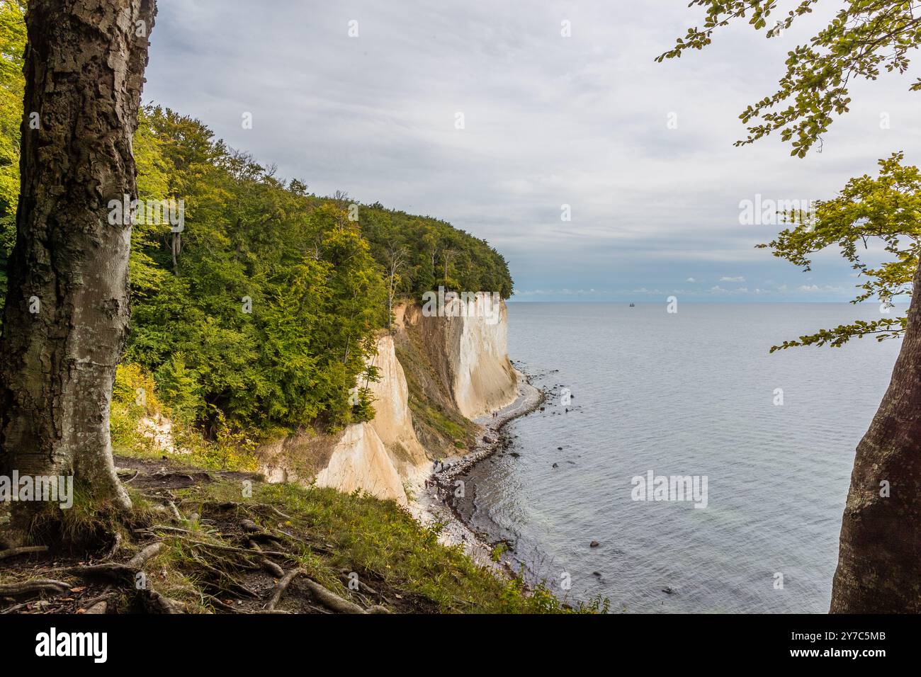 Sentiero escursionistico lungo le scogliere di gesso su Rügen. Matrimonio, Sassnitz, Meclemburgo-Vorpommern, Germania Foto Stock