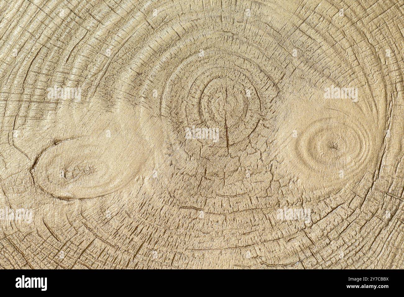 Vernice dorata su un pezzo di legno di pino per lo sfondo Foto Stock