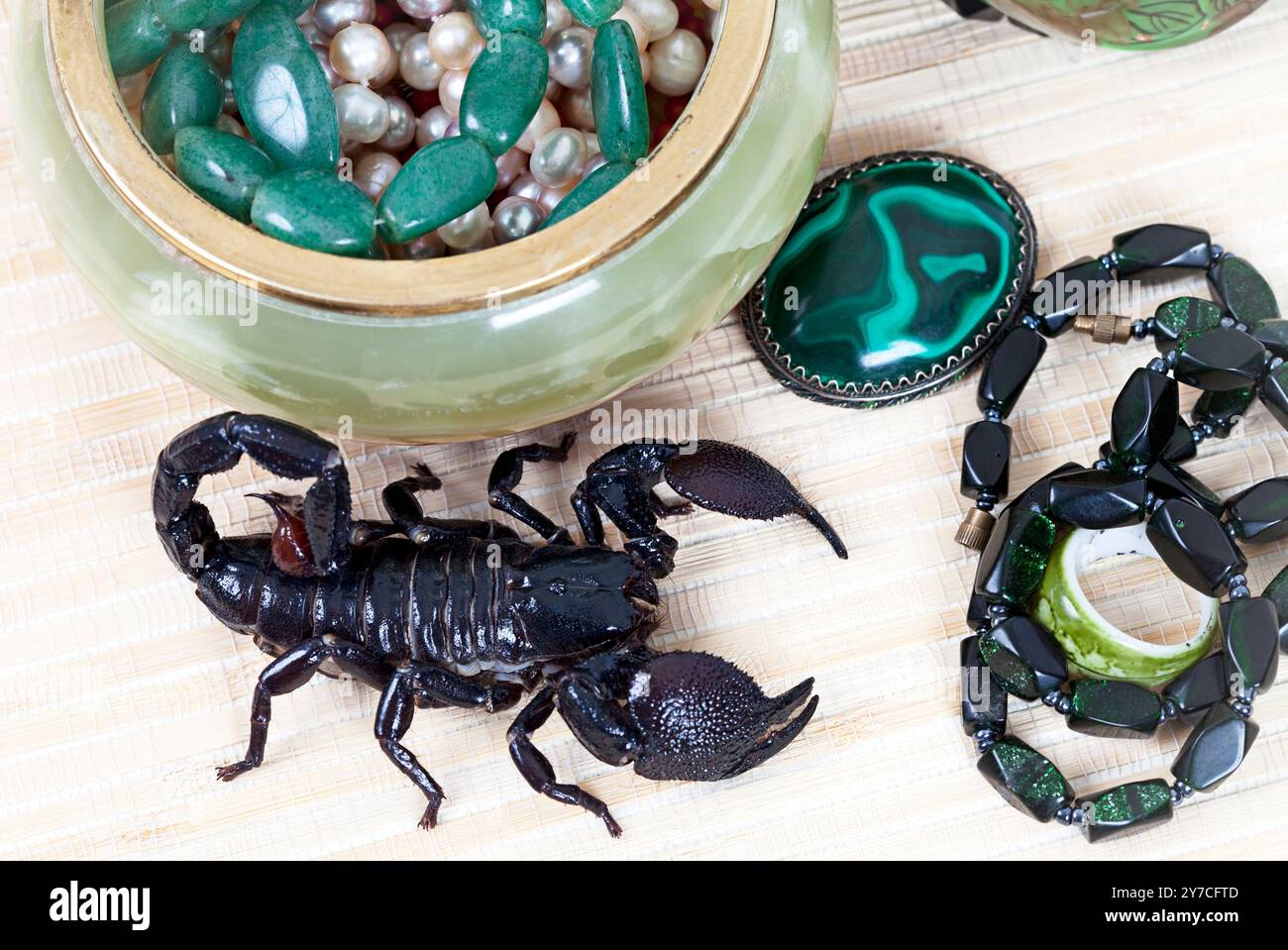 Emperor Scorpion con portagioie in onice, spilla in malachite e collana nera Foto Stock