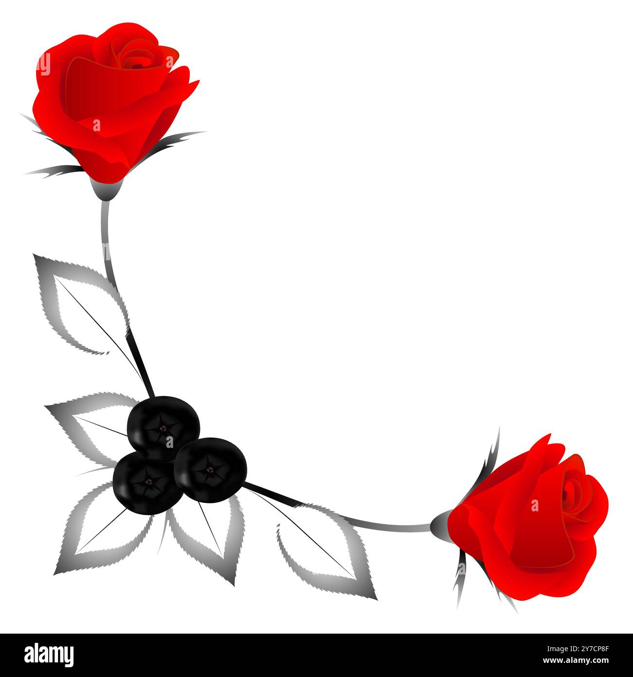 Ornamento angolare con rose rosse, foglie e frutti di bosco, elemento di design. Illustrazione Vettoriale