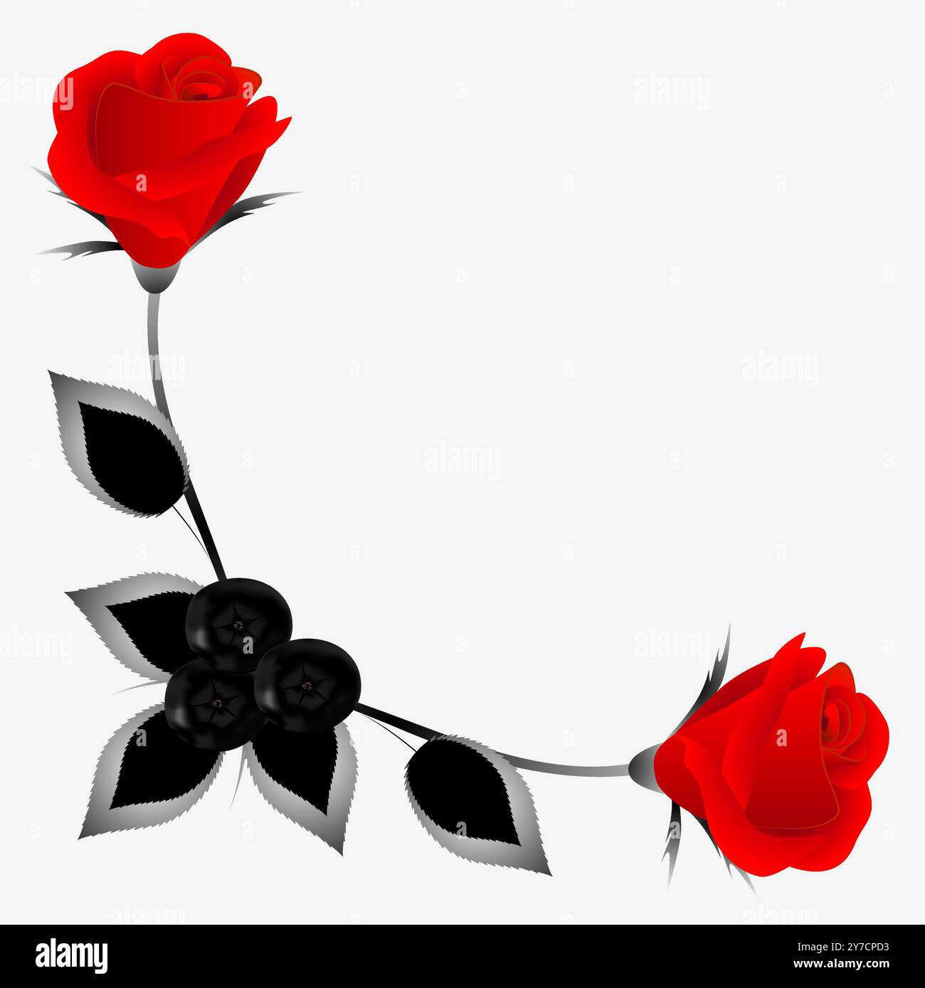 Ornamento angolare con rose rosse, foglie e bacche di cioccolato, elemento di design. Illustrazione Vettoriale