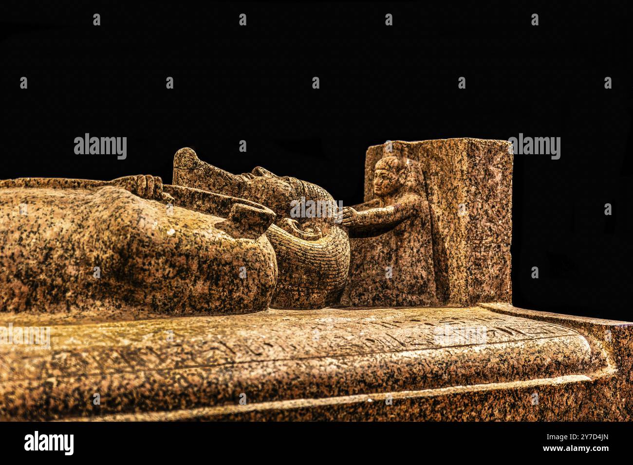 Coperchio del sarcofago di Merenptah, riutilizzato per Psusennes i dalla mostra: Ramses il grande e l'oro dei faraoni, Colonia, Nord Reno-W Foto Stock