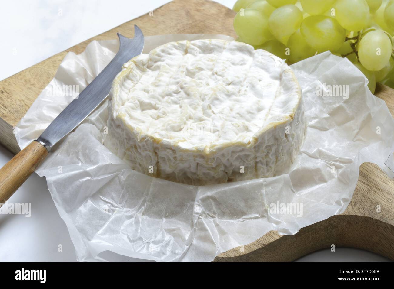 Camembert francese, formaggio su tavola di legno Foto Stock