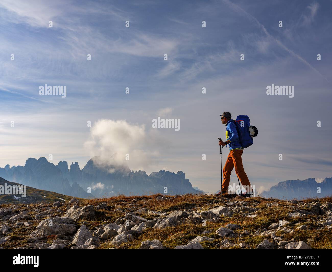 Alpinista con vista sul roseto, Sciliar, Dolomiti, alto Adige, Italia, Europa Foto Stock