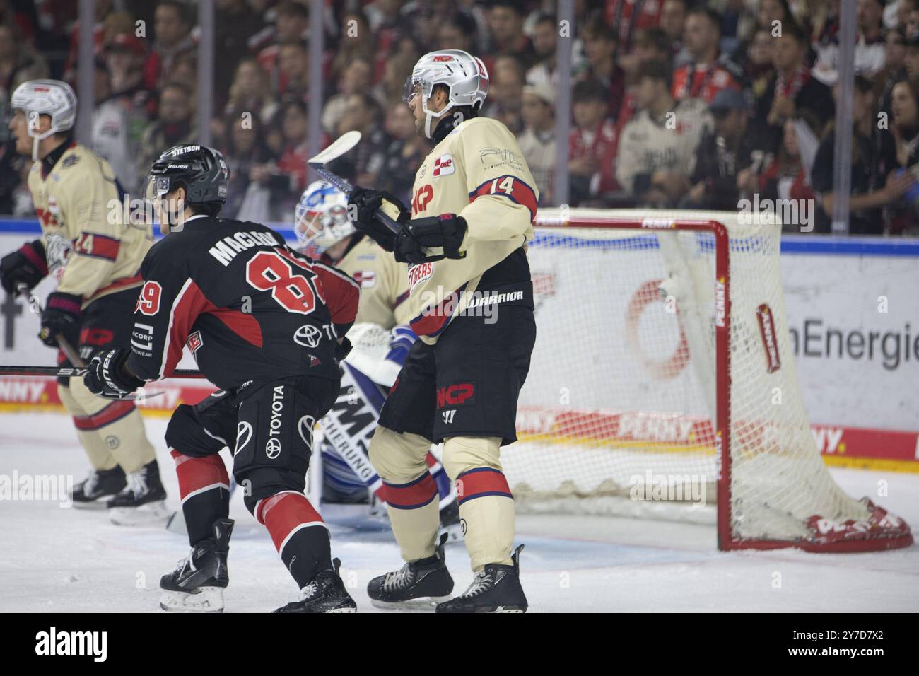 LanxessArena, Colonia, Renania settentrionale-Vestfalia, Gregor Macleod (squali di Colonia, n. 89), Cole Maier (tigri di ghiaccio di Norimberga, n. 14), PENNY DEL, squali di Colonia Foto Stock