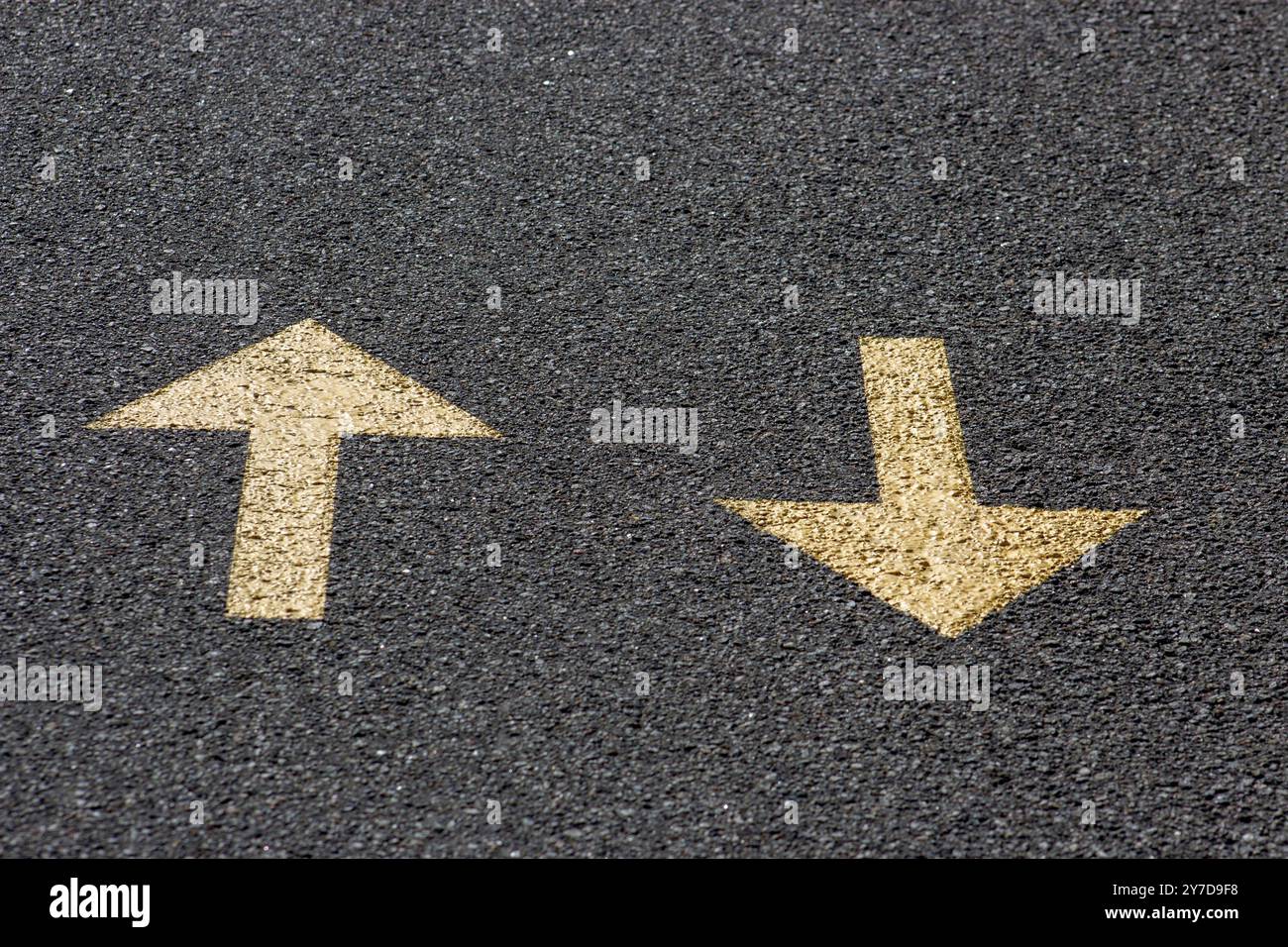 Frecce gialle sulla strada asfaltata, avanti e indietro Foto Stock