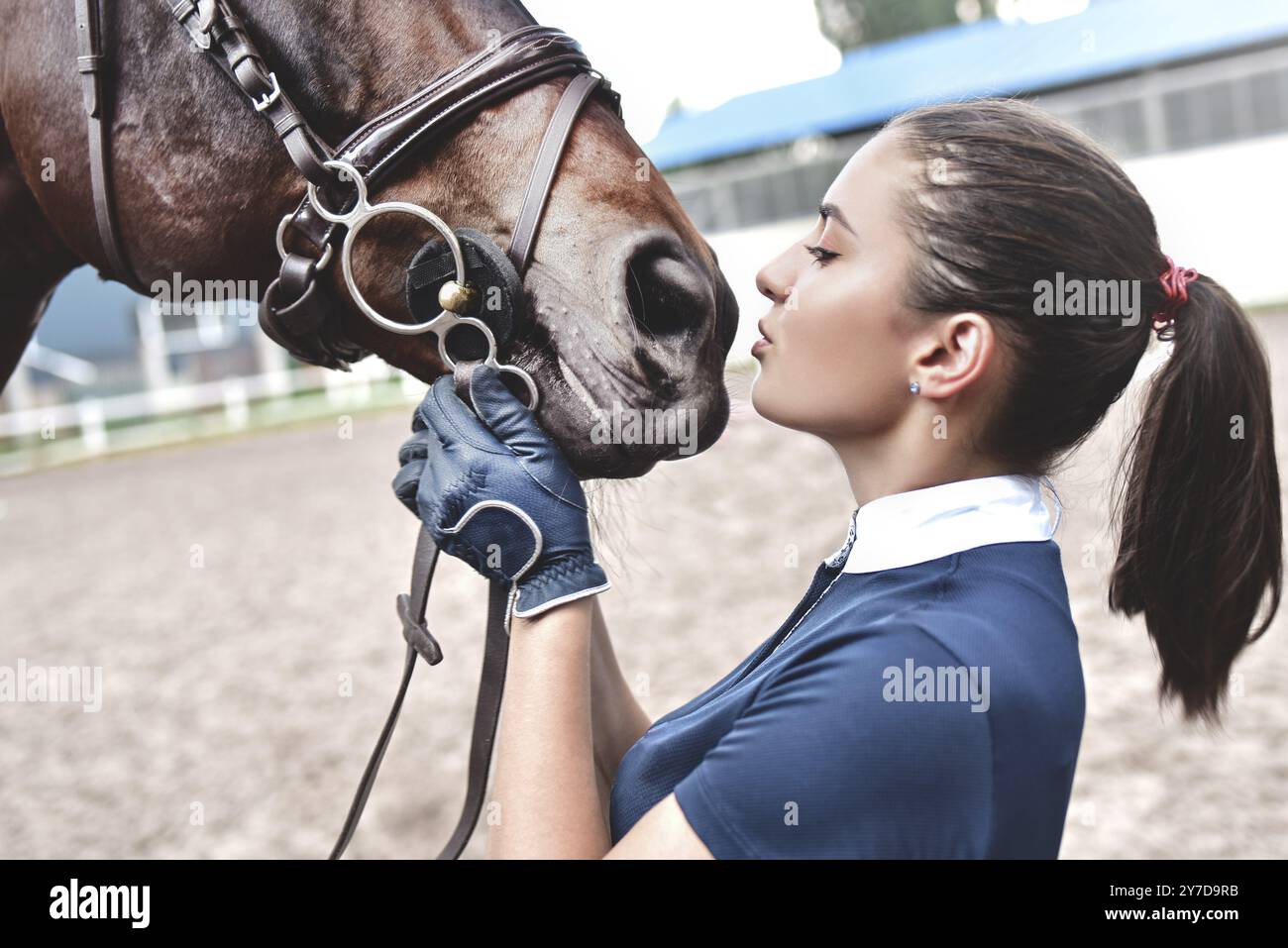 Primo piano le mani di una donna che abbraccia un cavallo. Giovane ragazza che accarezza il suo cavallo nella stalla. Concetto di terapia equina. L'amore tra le persone e gli animali Foto Stock