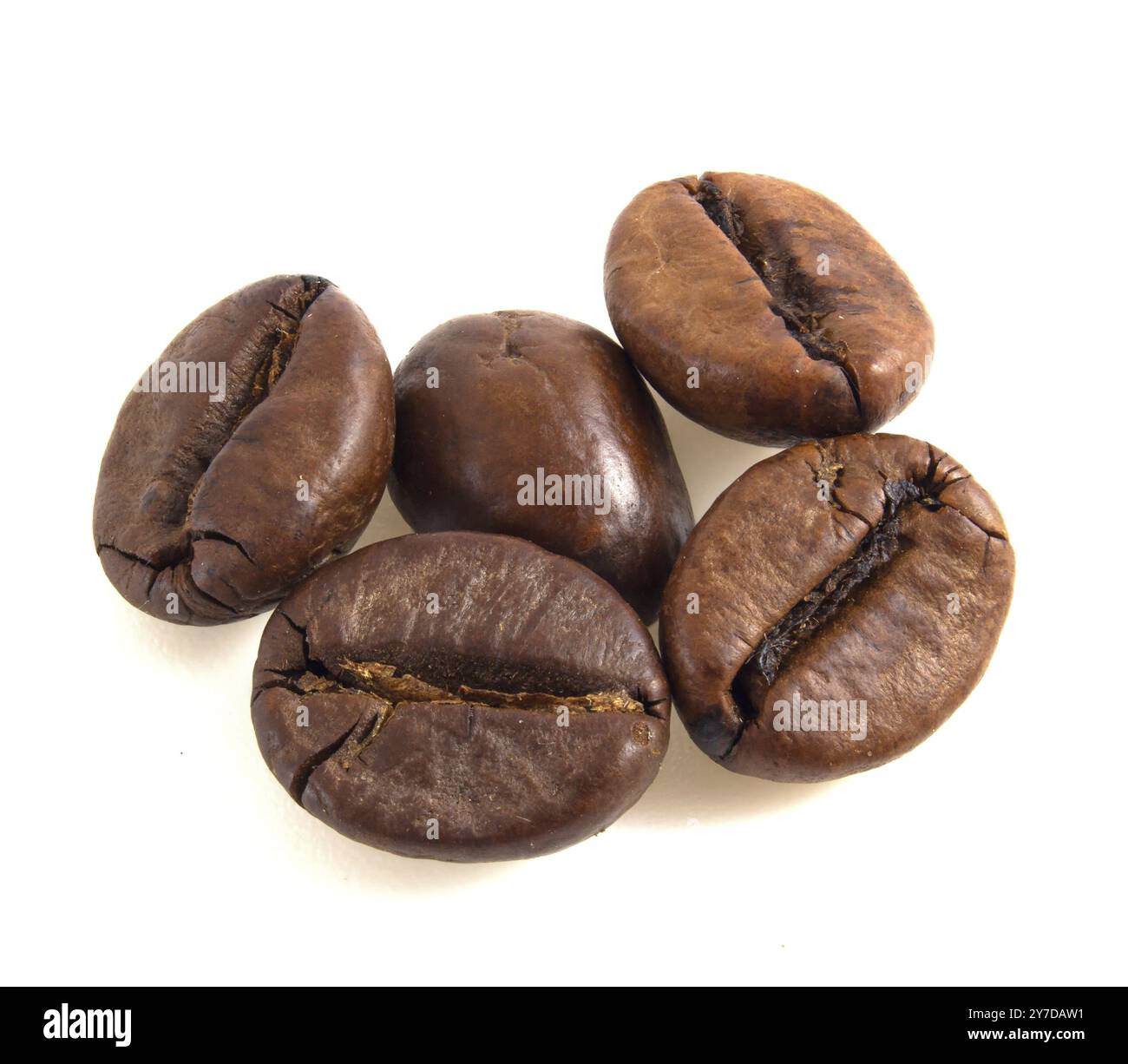 I chicchi di caffè arabica si avvicinano isolati su sfondo bianco Foto Stock